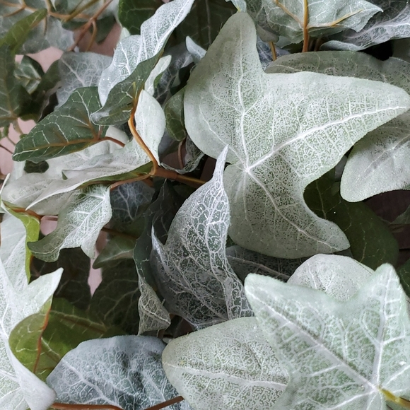 Artificial ivy - Picture 7 of 8